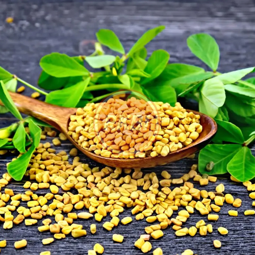 Fenugreek