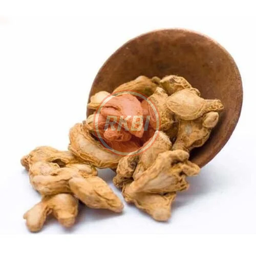 Ginger