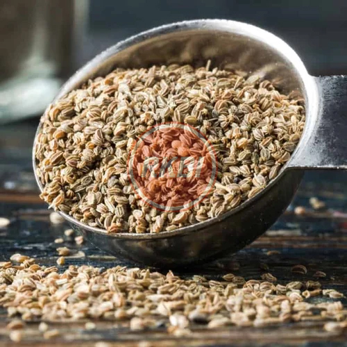 Celery Seed