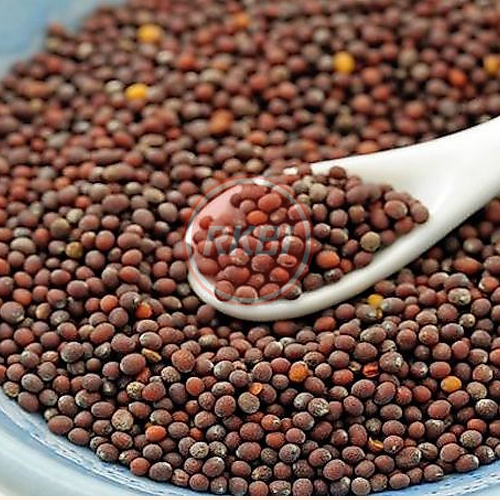 Mustard Seed