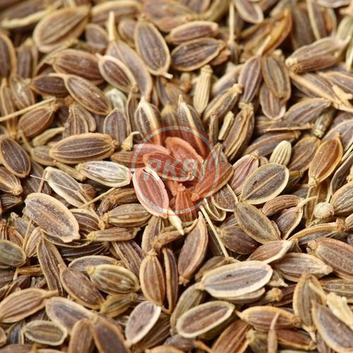 Dill Seed