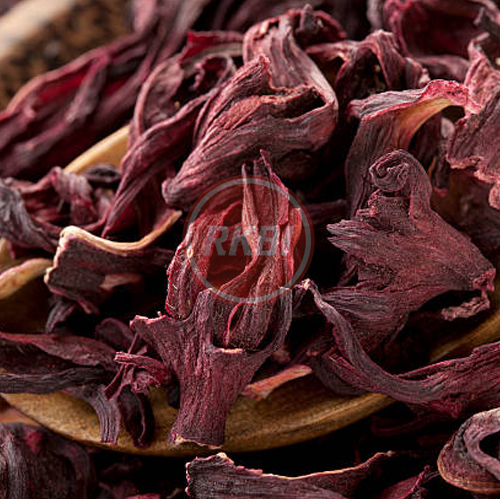 Hibiscus